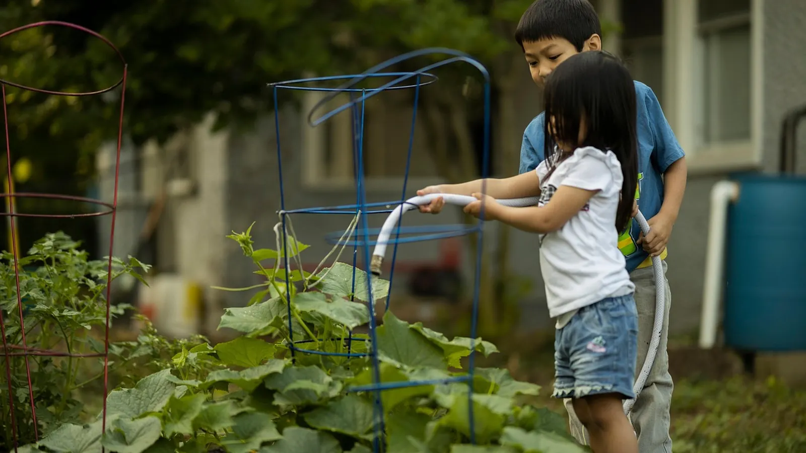 Deux enfants arrosent le potager au tuyau, une cuve d’eau de pluie au fond