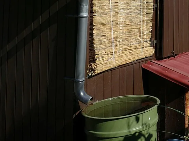Une cuve d’eau de pluie