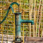 Pompe à eau verte au milieu d'un potager palissé